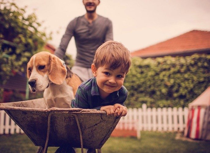 The Right Way For Kids To Meet Dogs